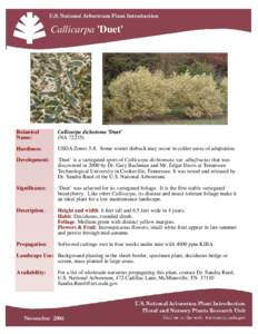 Callicarpa_Duet_FactSheet_Reed_2006-1201_rj.pub