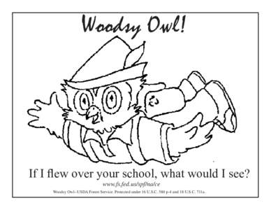 Woodsy Owl!  If I flew over your school, what would I see? www.fs.fed.us/spf/na/ce Woodsy Owl--USDA Forest Service. Protected under 16 U.S.C. 580 p-4 and 18 U.S.C. 711a.