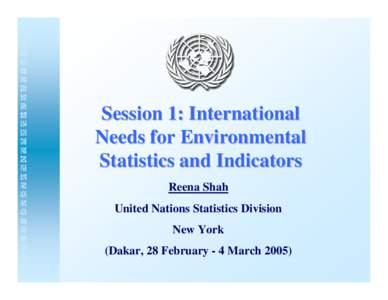Microsoft PowerPoint - Session 01-2 International needs (UNSD)