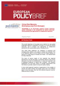 Critical Raw Materials: Developing Long-Term Strategies POLINARES is an EU-funded research project exploring global challenges in the competition for natural resources and proposing new approaches to collaborative soluti