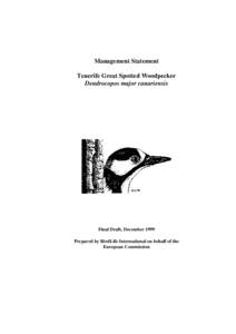 Management Statement Tenerife Great Spotted Woodpecker Dendrocopos major canariensis Final Draft, December 1999 Prepared by BirdLife International on behalf of the