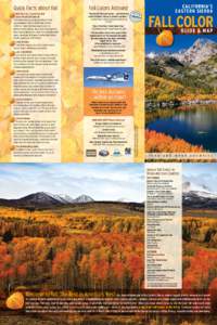 Quick Facts about Fall  Fall Colors Astound Why our Fall Color Season 	 GOES ON and on and on