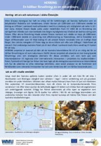 HERRING En hållbar förvaltning av en naturresurs Herring- ett arv och naturresurs i södra Östersjön Sillen (Clupea harengus) har haft en viktig roll för befolkningen på Svenska Sydkusten som en betydelsefull födo