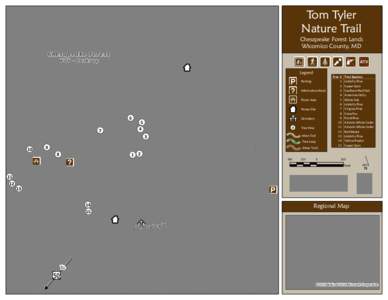 Tom Tyler Nature Trail Chesapeake Forest Lands Wicomico County, MD