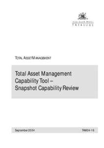 TAM Capability Tool - Snapshot Capability Review