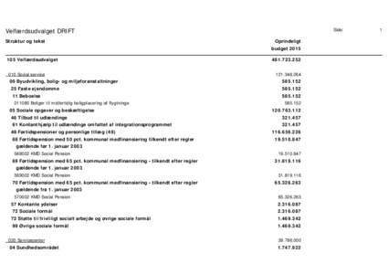 Økonomirapport - Velfærdsudvalget DRIFT