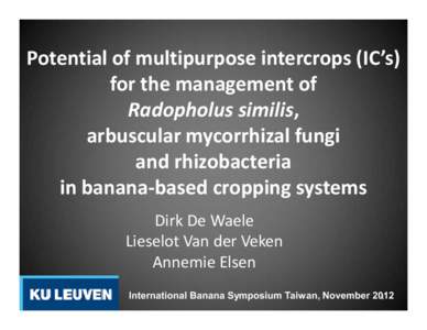 Potential of multipurpose intercrops (IC’s) for the management of Radopholus similis, arbuscular mycorrhizal fungi and rhizobacteria in banana-based cropping systems