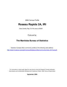 Roseau Rapids 2A, IRI.xls