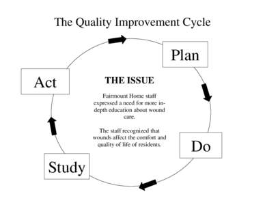 The Quality Improvement Cycle  Plan Act  THE ISSUE