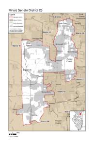 2011 Illinois Senate District 25