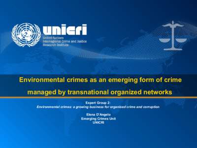 Environmental crimes as an emerging form of crime managed by transnational organized networks Expert Group 2: Environmental crimes: a growing business for organised crime and corruption Elena D’Angelo Emerging Crimes U