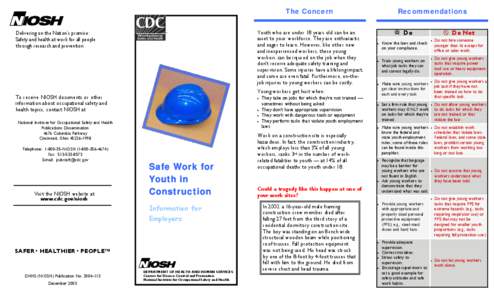 Microsoft Word - Youth Construction 3.doc