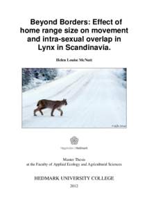 Beyond Borders: Effect of home range size on movement and intra-sexual overlap in Lynx in Scandinavia. Helen Louise McNutt