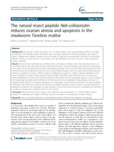 The natural insect peptide Neb-colloostatin induces ovarian atresia and apoptosis in the mealworm Tenebrio molitor