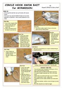 Heavy Tackle - Circle Hook Swim bait