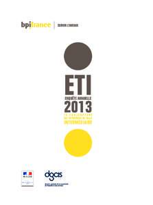 ETI ENQUÊTE ANNUELLE 2013 LA CONJONCTURE DES ENTREPRISES DE TAILLE