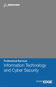 Professional Services  Information Technology and Cyber Security  Professional Services