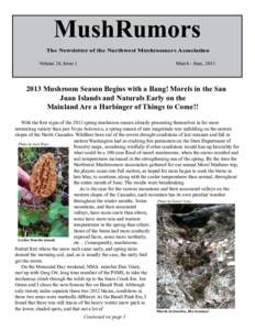 MushRumors The Newsletter of the Northwest Mushroomers Association Volume 24, Issue 1 March - June, 2013