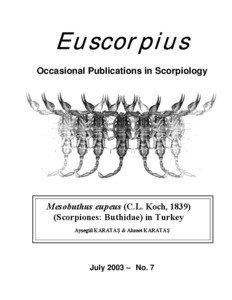 Zoology / Biology / Living fossils / Arachnids / Euscorpius / Leiurus / Hottentotta / Mesobuthus eupeus / Compsobuthus / Scorpions / Buthidae / Venomous animals