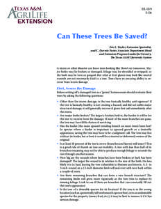 ER[removed]Can These Trees Be Saved? Eric L. Taylor, Extension Specialist, and C. Darwin Foster, Associate Department Head