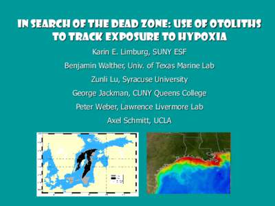 In Search of the Dead Zone: Use of Otoliths TO Track Exposure to Hypoxia Karin E. Limburg, SUNY ESF Benjamin Walther, Univ. of Texas Marine Lab  Zunli Lu, Syracuse University