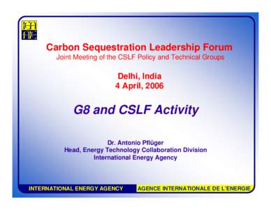 Microsoft PowerPoint - 05 APflueger 04-CSLF Joint Mtg Delhi