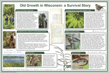 Old Growth in Wisconsin: a Survival Story History of Old-Growth in Wisconsin The Winegar Moraine and the Sub-Continental Divide  In the last half of the 1800s, nearly all of northern