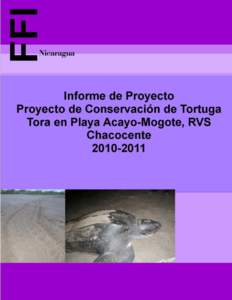 Documento Elaborado por: Eduardo José Altamirano Urbina, Asistente Técnico en Playa Veracruz de Acayo, PTM-FFI Perla Torres Gago, Coordinadora del Monitoreo de Tortugas Marinas, PTM-FFI Fecha de Elaboración: 18 de O