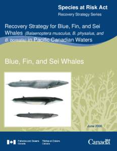 Final Recovery Strategy for Blue, Fin and Sei Whales in Pacific Canadian Waters