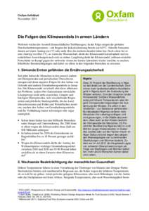 Infoblatt_Folgen des KW in armen Ländern_20011_final