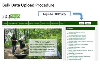 Bulk Data Upload Procedure Login to EDDMapS Click on My EDDMapS  Click on My