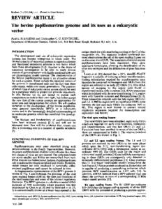 1  Biochem. J[removed], 1-11 (Printed in Great Britain) REVIEW ARTICLE The bovine papillomavirus genome and its uses as a eukaryotic