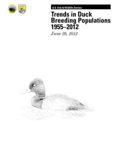 U.S. Fish & Wildlife Service  Trends in Duck Breeding Populations 1955–2012 June 29, 2012