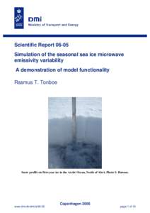 Scientific ReportSimulation of the seasonal sea ice microwave emissivity variability A demonstration of model functionality Rasmus T. Tonboe