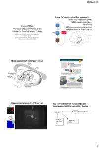 How do brain circuits support different but complementary aspects of event memory?