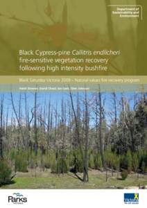 Black Cypress-pine Callitris endlicheri fire-sensitive vegetation recovery following high intensity bushfire