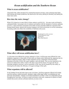 Ocean acidification and the Southern Ocean What is ocean acidification? About half of the carbon dioxide (CO2) emitted from human activities, such as burning fossil fuels, land clearing and cement production, has dissolv