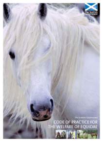 Code of Practice for the Welfare of Equidae