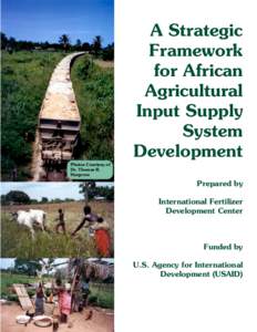 A Strategic Framework for African Agricultural Input Supply System