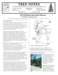 Chamaecyparis lawsoniana / Phytophthora lateralis / Microbiology / Water moulds / Phytophthora / Phytophthora palmivora / Phytophthora plurivora / Biology / Tree diseases / Botany