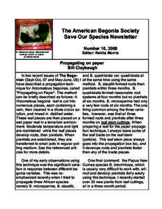 The American Begonia Society Save Our Species Newsletter Number 10, 2008 Editor: Rekha Morris  B. silletensis subsp. silletensis leaf