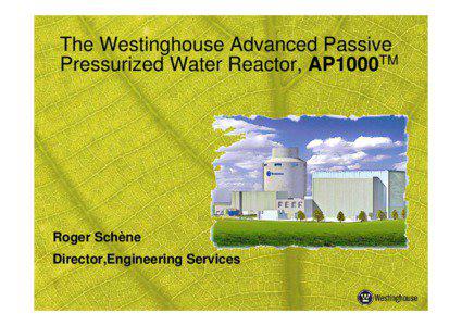 Why the Westinghouse Advanced, Passive Pressurized Water Reactor, AP1000TM