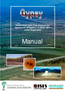 Discounted Cash Flow Analysis for Application of Gypsum to Sodic Soils under Sugarcane Manual