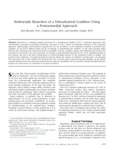 Endoscopic Resection of a Talocalcaneal Coalition Using a Posteromedial Approach