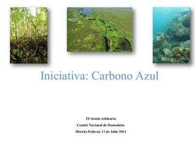 Iniciativa: Carbono Azul  IX Sesión ordinaria Comité Nacional de Humedales Distrito Federal, 11 de Julio 2014