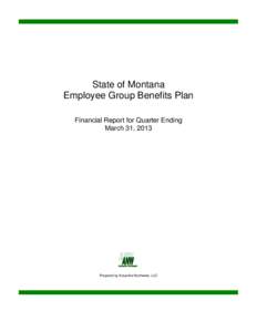 SOM - Financial Report - Q1 2013.xls