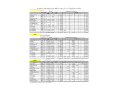 New York State Medicaid Redesign Team (MRT) Interim Access Assurance Fund (IAAF) Payment Report