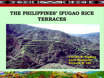 Environment / Banaue Rice Terraces / Megastructures / Globally Important Agricultural Heritage Systems / Crops / Rice Terraces of the Philippine Cordilleras / Ifugao / Cordillera Administrative Region / International Rice Research Institute / Agriculture / Land management / Philippine culture