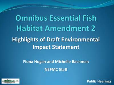 Highlights of Draft Environmental Impact Statement Fiona Hogan and Michelle Bachman NEFMC Staff Public Hearings