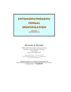 Entomopathogenic Fungal Identification